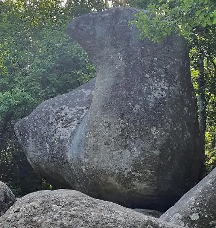 住宿加早餐酒店 A L'ecole Buissonniere, D'hotes En Sidobre 4*