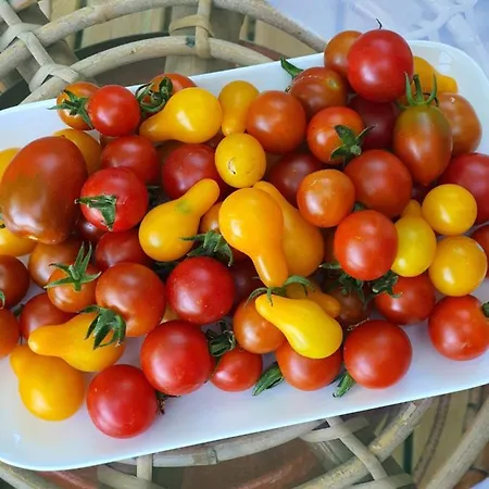 B&B A L'ecole Buissonniere, D'hotes En Sidobre Lacrouzette
