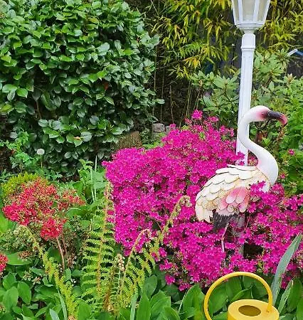 B&B A L'ecole Buissonniere, D'hotes En Sidobre 4*