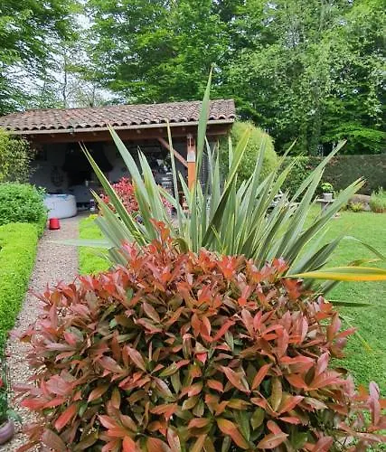 A L'ecole Buissonniere, D'hotes En Sidobre 4*